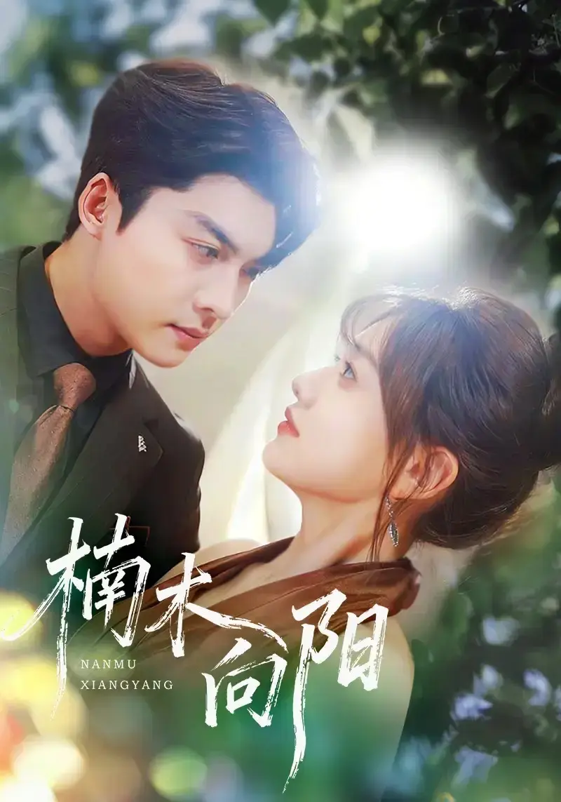 《楠木向阳》-资源截图